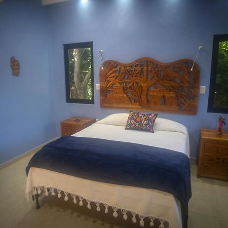 The Flycatcher Inn Retreat Hotel Santa Elena Eksteriør billede