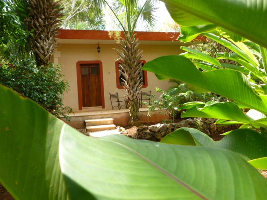 The Flycatcher Inn Retreat Hotel Santa Elena Eksteriør billede