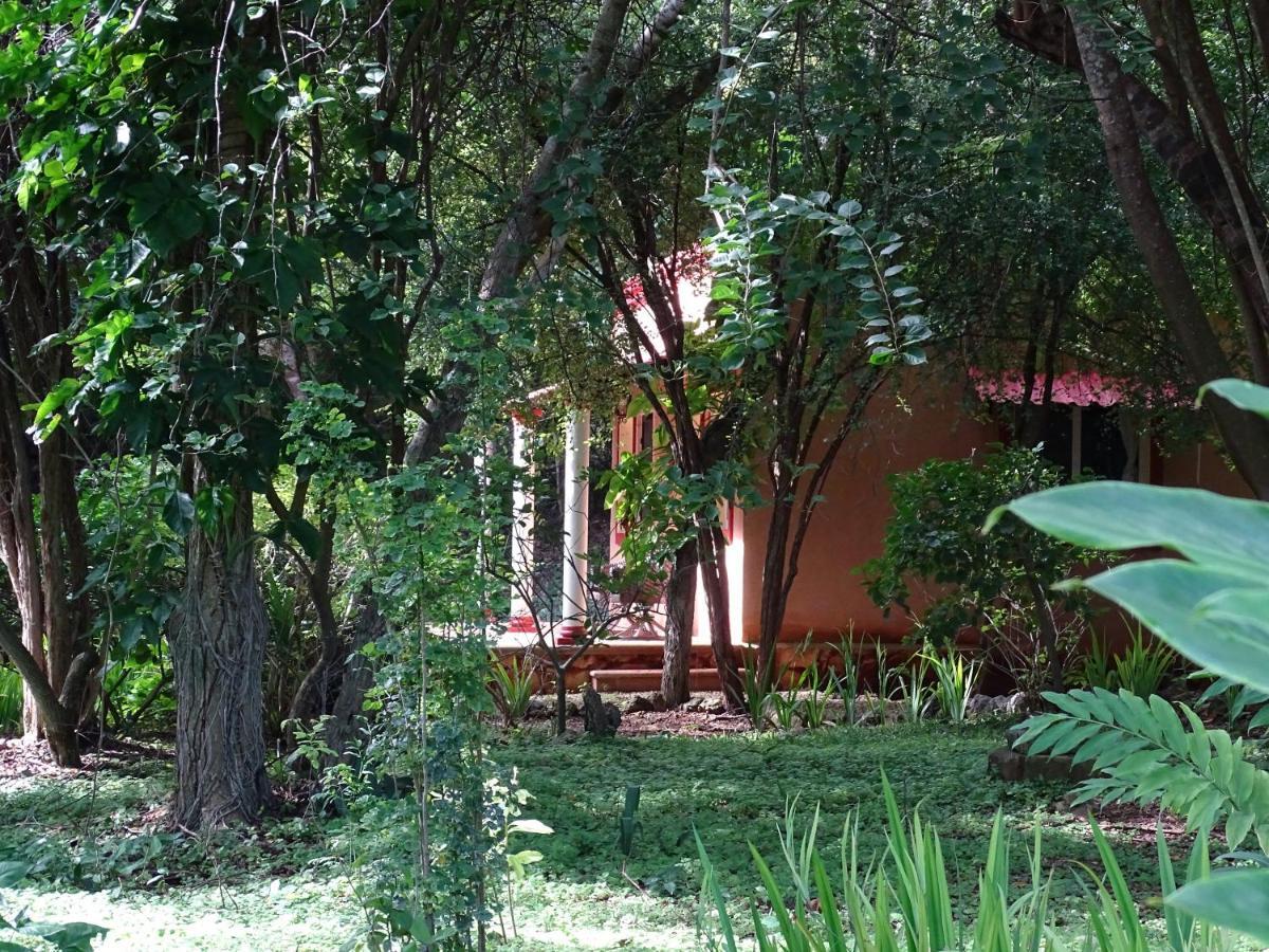 The Flycatcher Inn Retreat Hotel Santa Elena Eksteriør billede