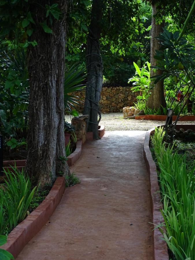 The Flycatcher Inn Retreat Hotel Santa Elena Eksteriør billede