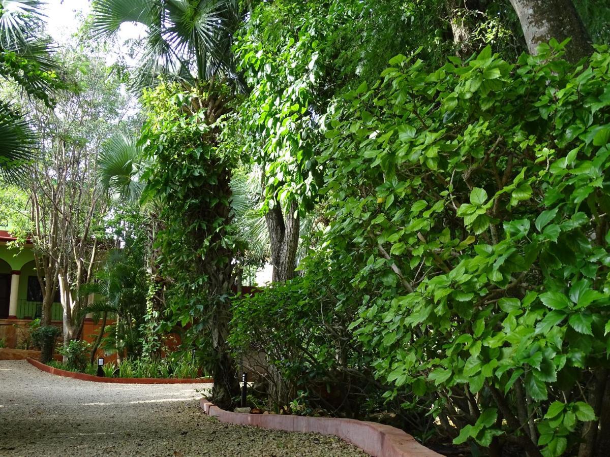 The Flycatcher Inn Retreat Hotel Santa Elena Eksteriør billede